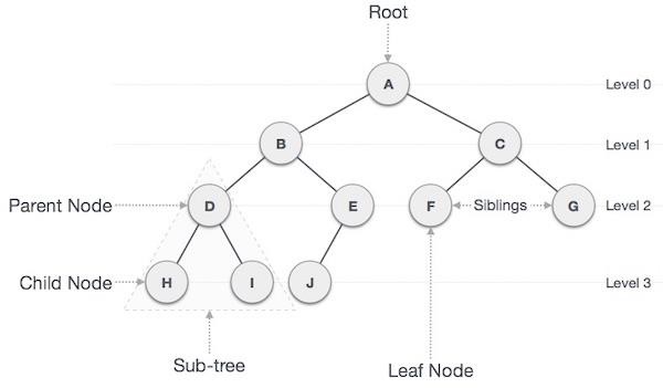 Trees and Forests in Graphs