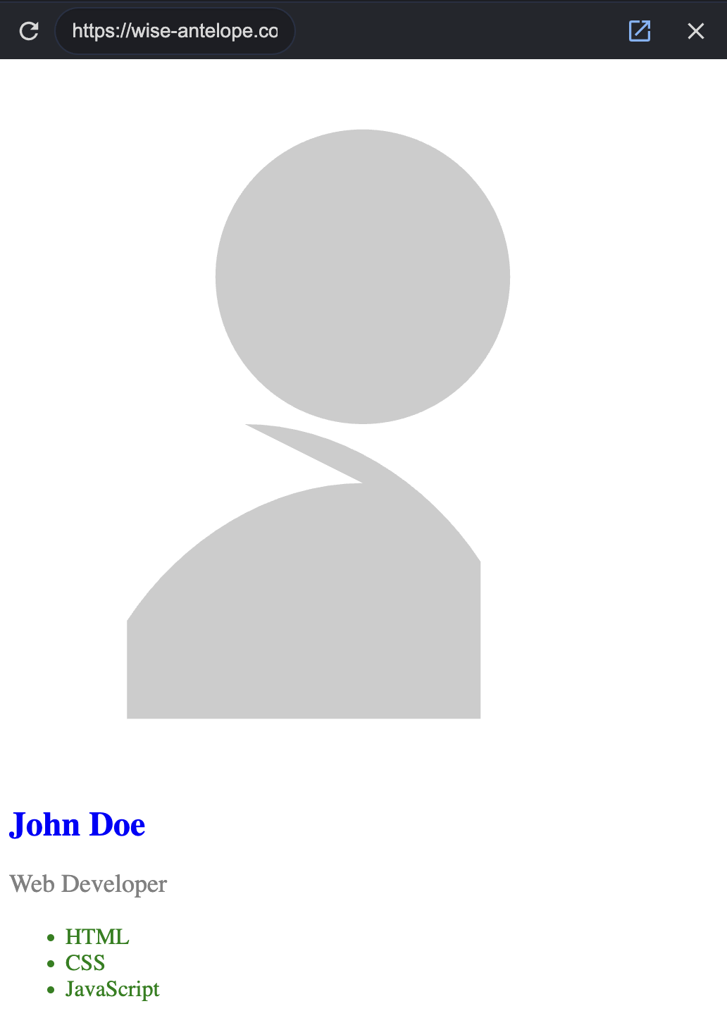 Mini Project - Style a Personal Profile Card in CSS