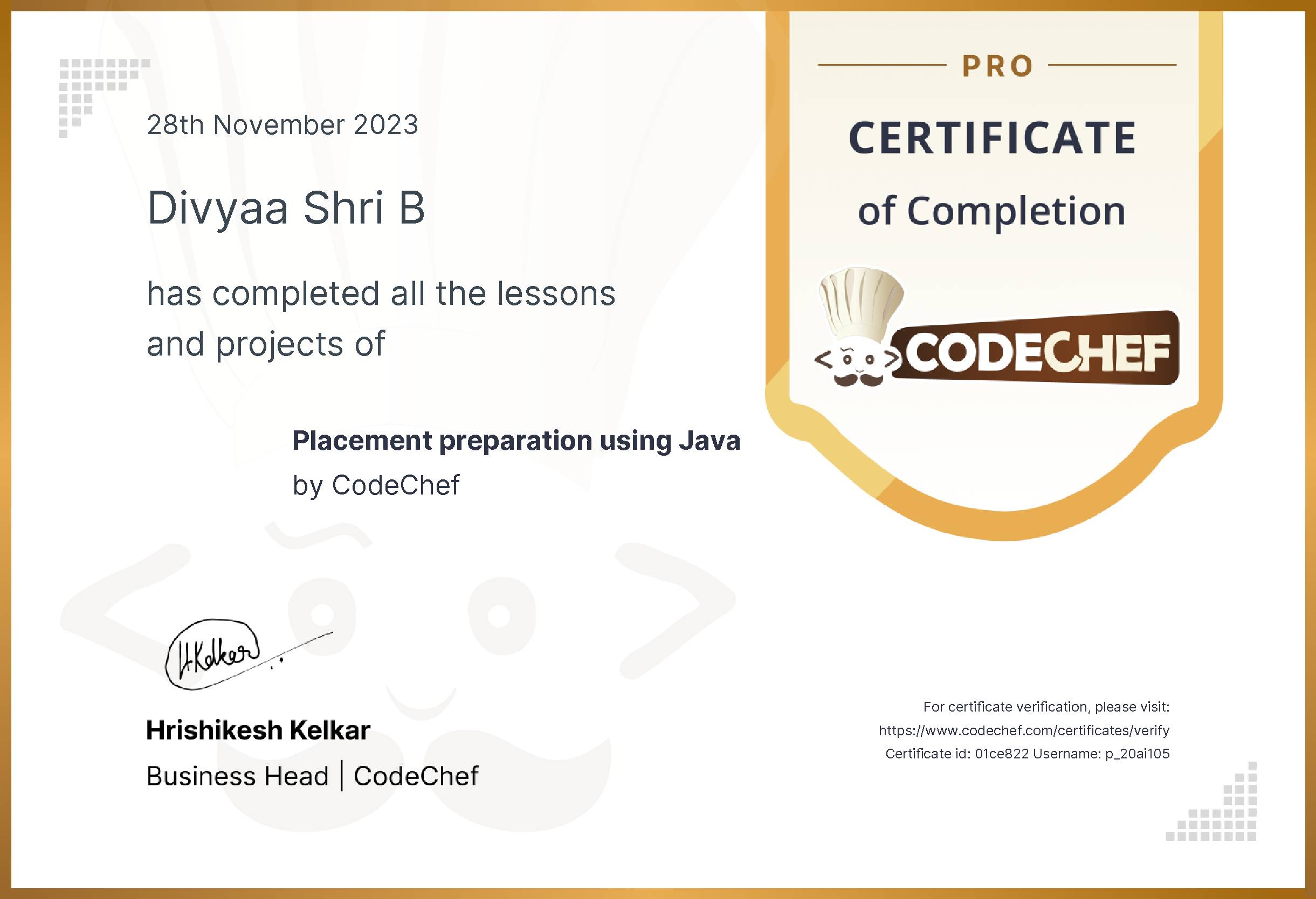 Awarded to Divyaa Shri B for completing <a href='/learn/course/panimalar-java'>Placement preparation using Java</a>