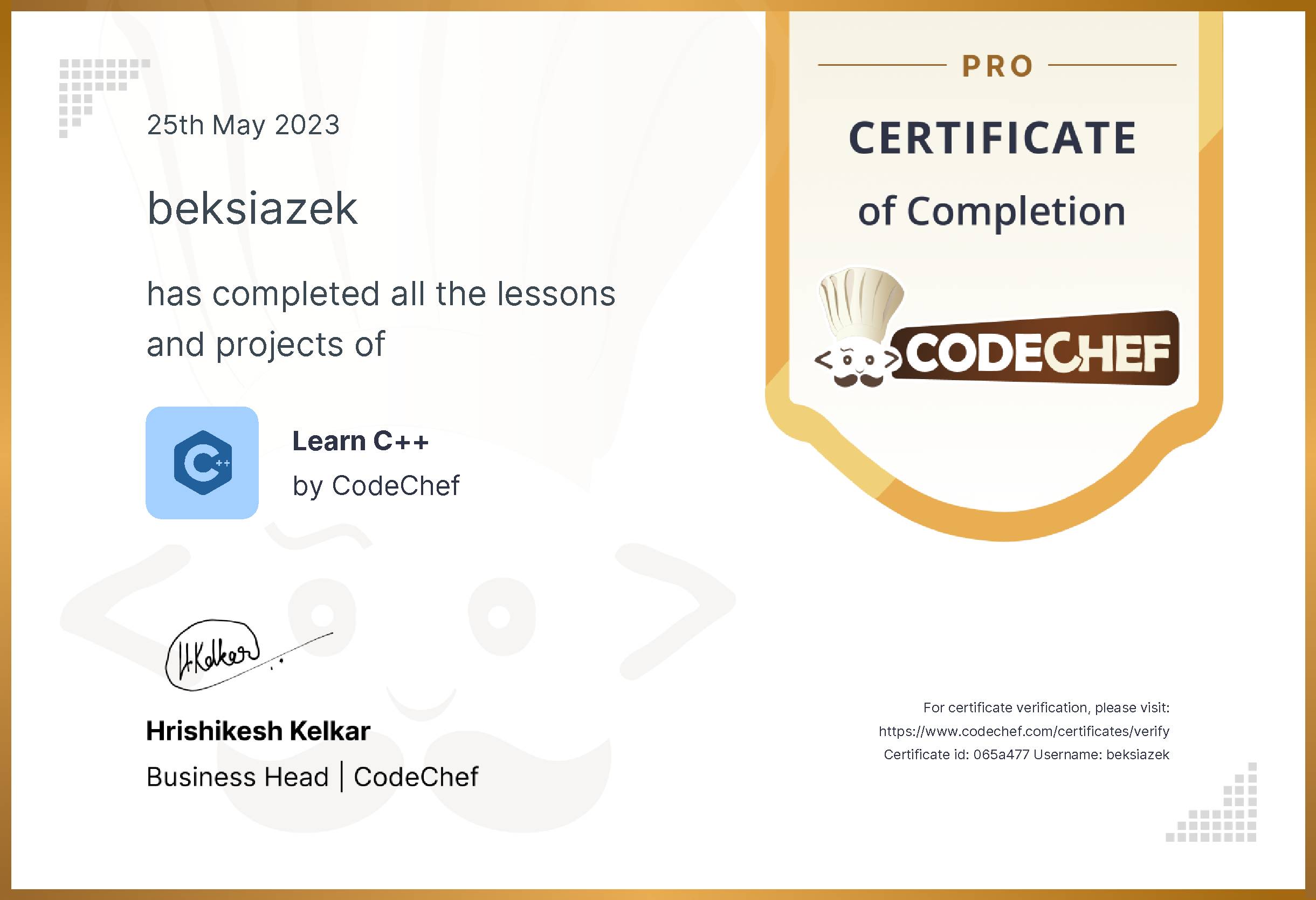 Awarded to beksiazek for completing <a href='/learn/course/cpp-old'>Learn C++ - Pro</a>