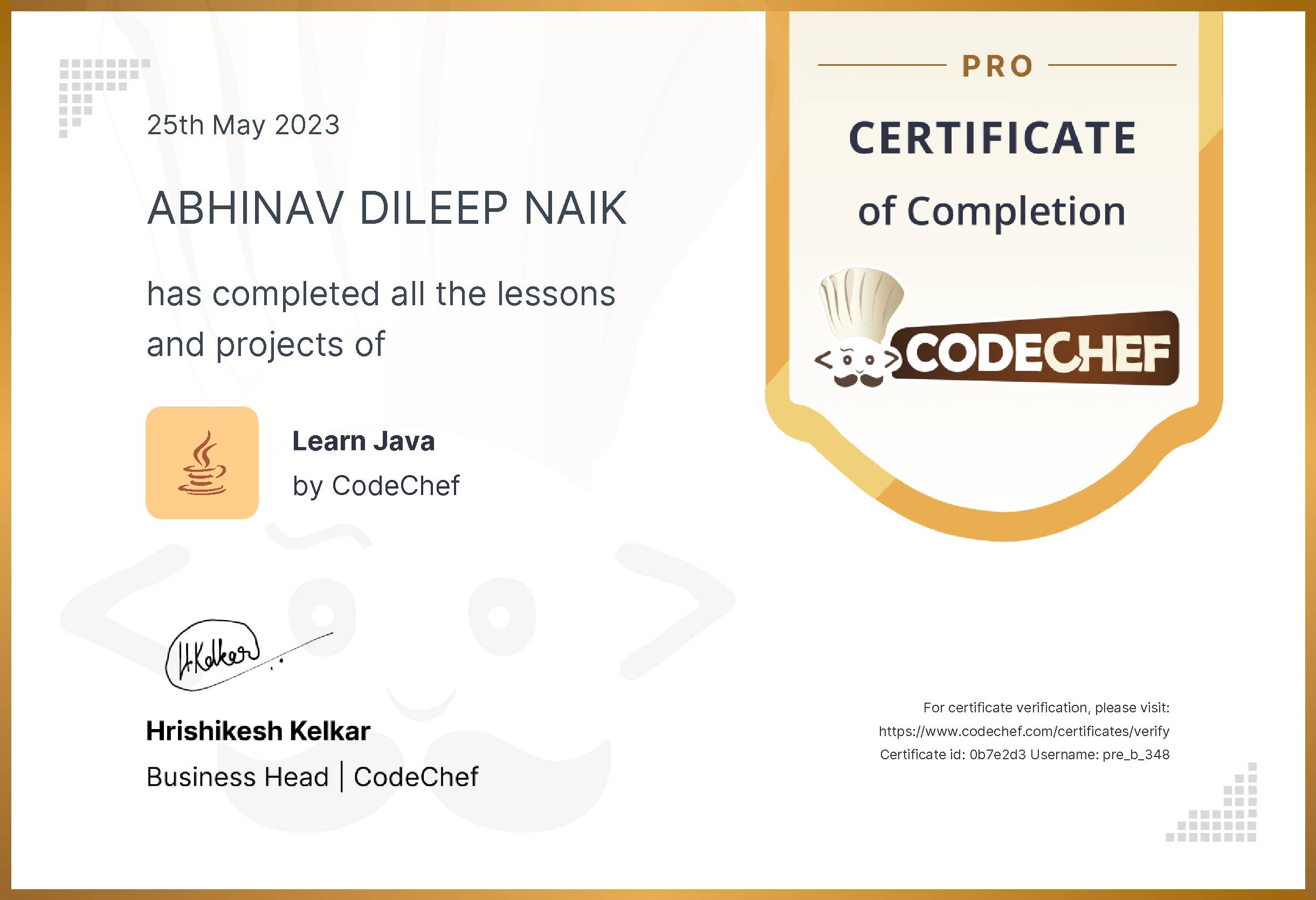 Awarded to ABHINAV DILEEP NAIK for completing <a href='/learn/course/java-old'>Learn Java - Pro</a>