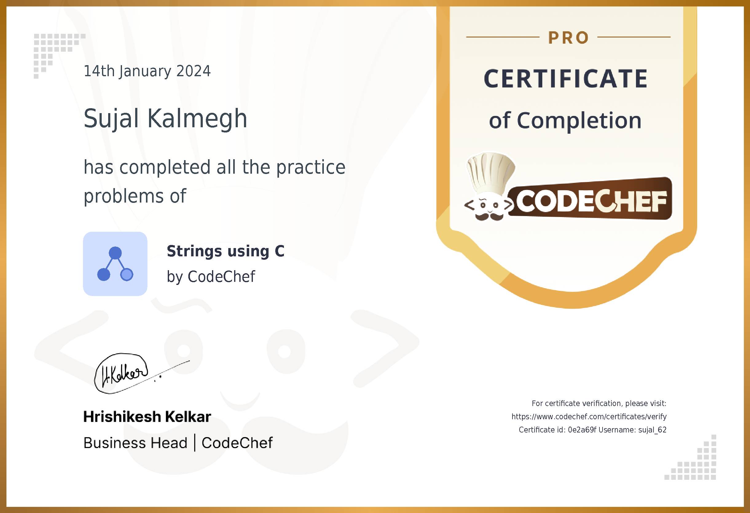 Awarded to Sujal Kalmegh for completing <a href='/practice/strings-c'>Strings using C</a>