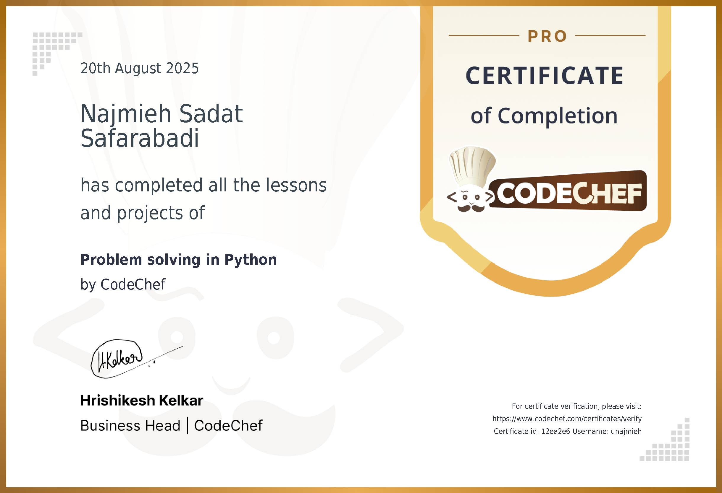 Awarded to Najmieh Sadat Safarabadi for completing <a href='/learn/course/python-beginner-v2-p1'>Problem solving in Python</a>