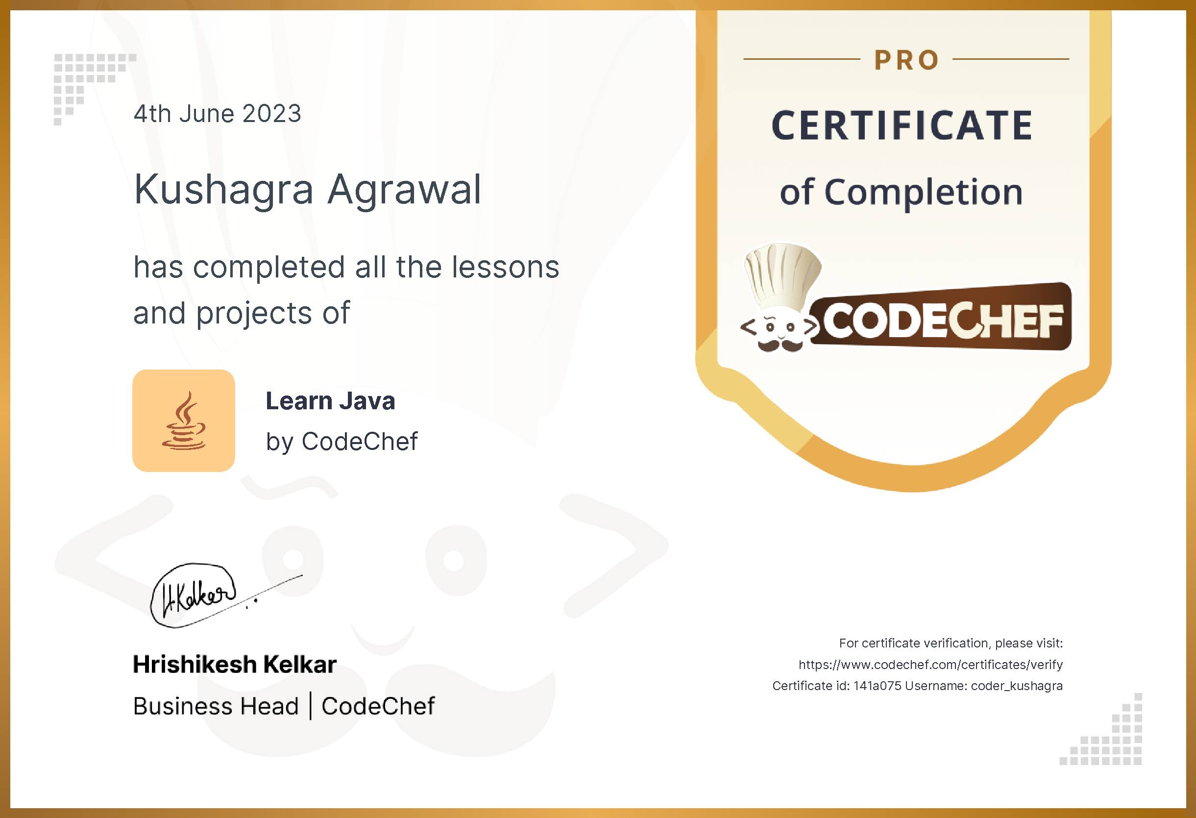 Awarded to Kushagra Agrawal for completing <a href='/learn/course/java-old'>Learn Java - Pro</a>
