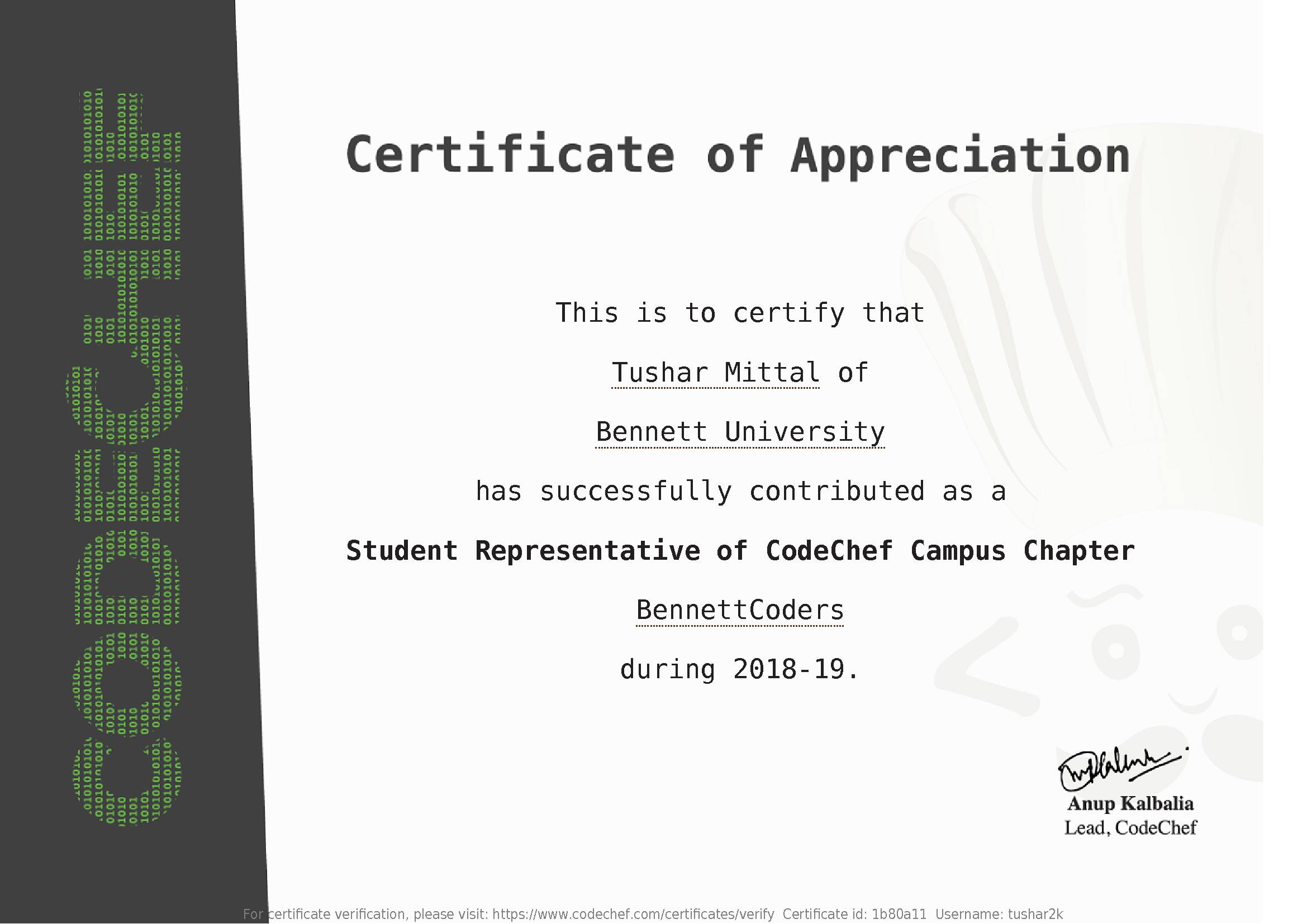 Awarded to Tushar Mittal