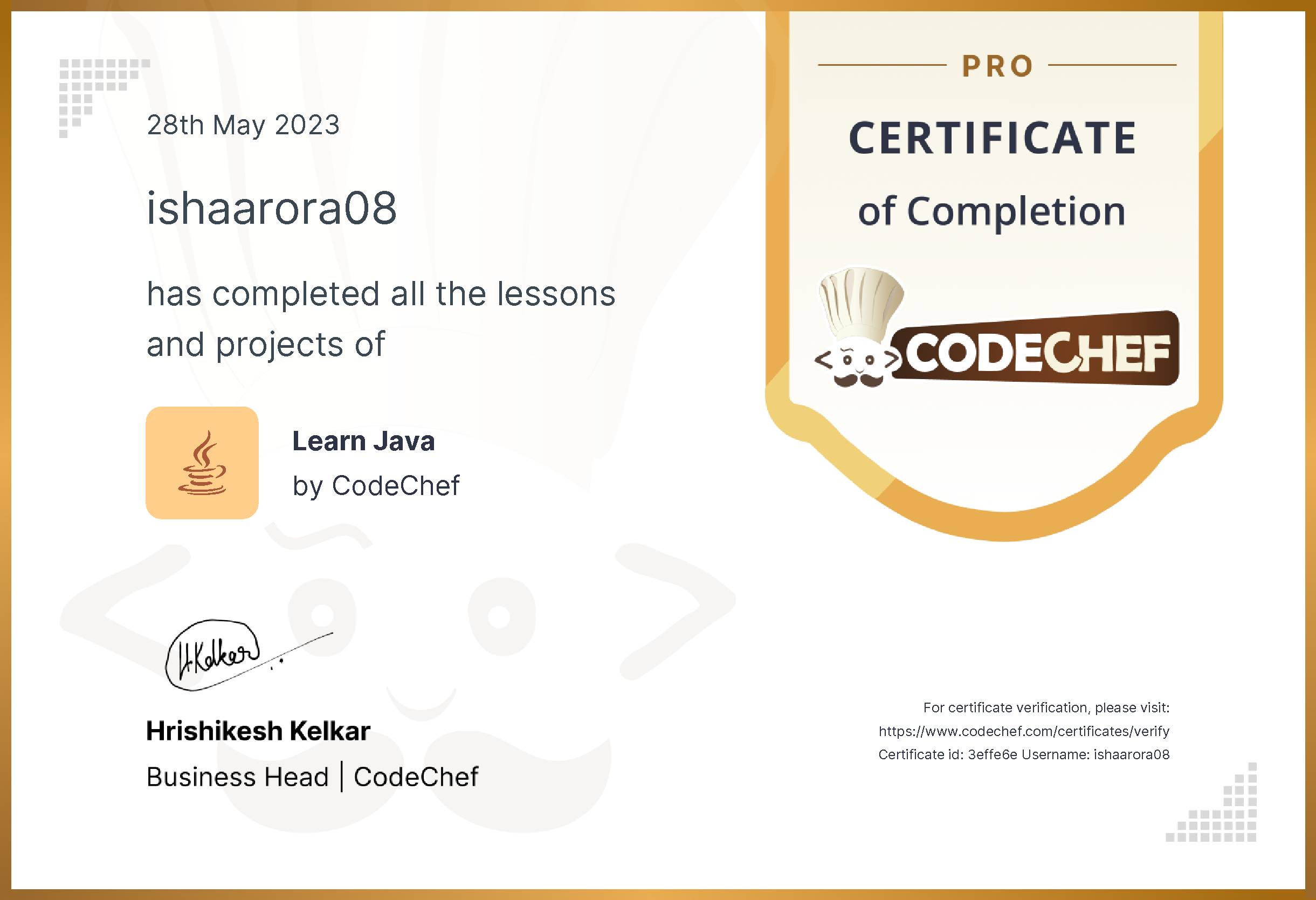 Awarded to ishaarora08 for completing <a href='/learn/course/java-old'>Learn Java - Pro</a>