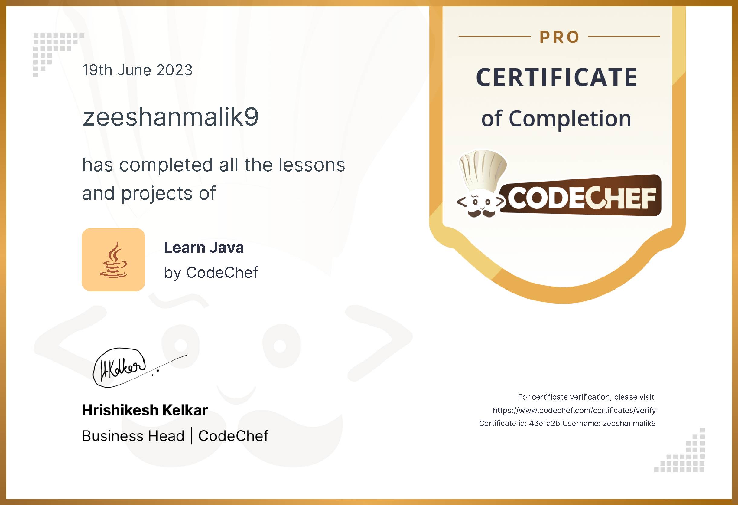 Awarded to zeeshanmalik9 for completing <a href='/learn/course/java-old'>Learn Java - Pro</a>