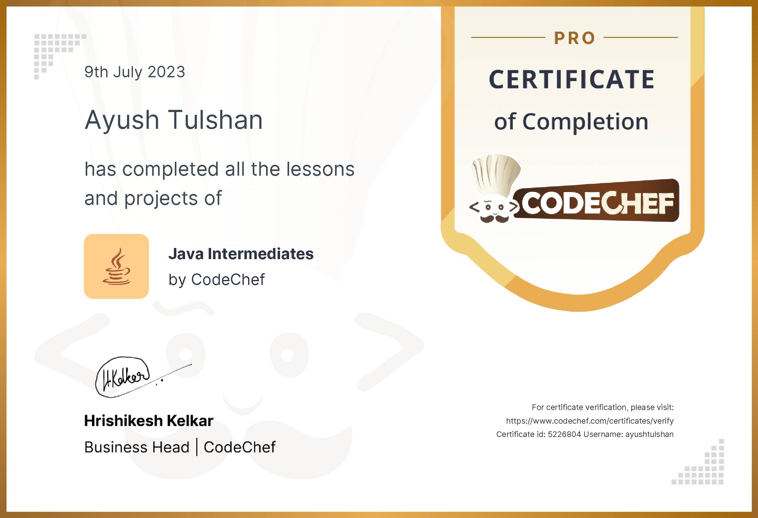 Awarded to Ayush Tulshan for completing <a href='/learn/course/java-beginner'>Java Intermediates - Pro</a>