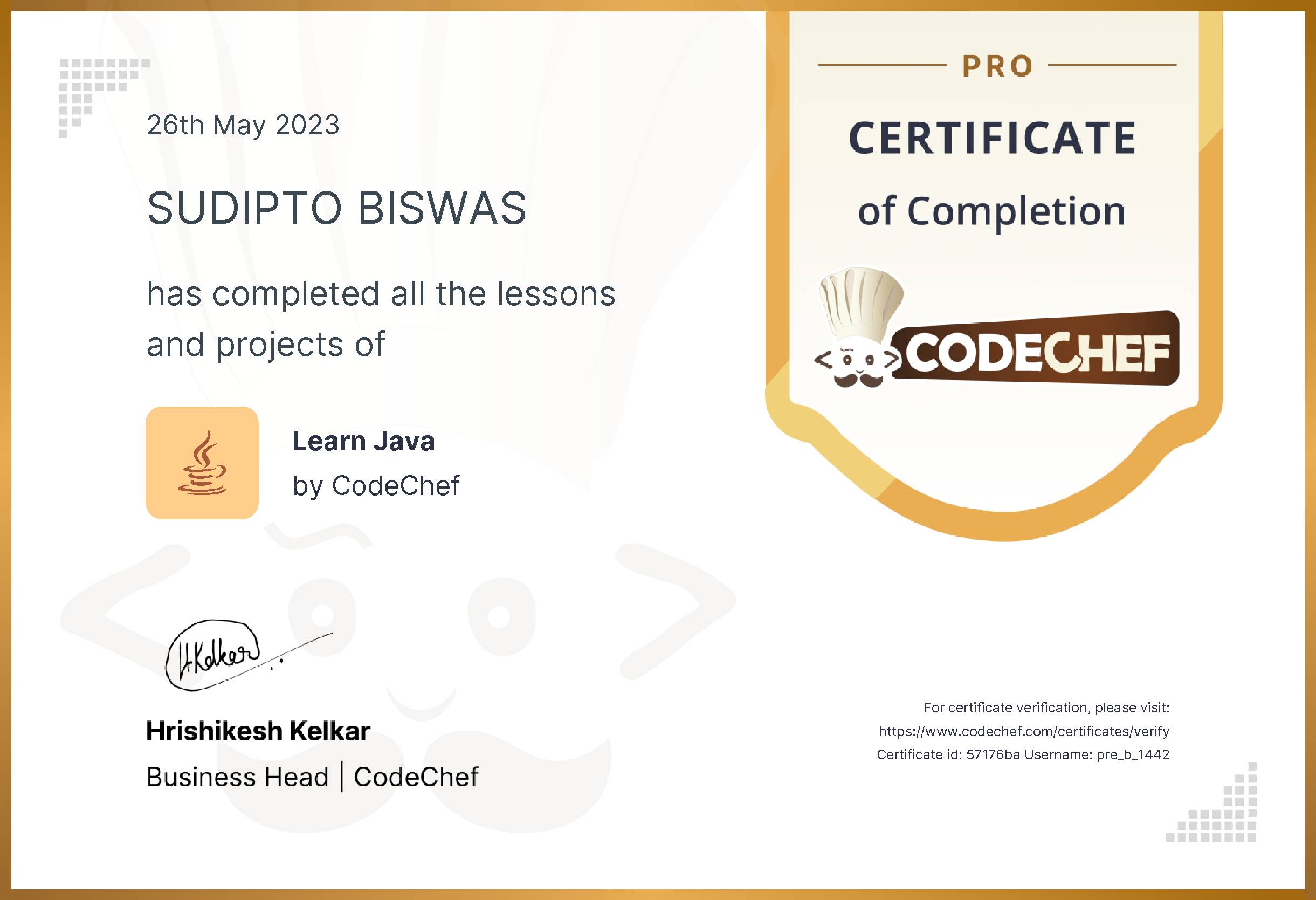 Awarded to SUDIPTO BISWAS for completing <a href='/learn/course/java-old'>Learn Java - Pro</a>