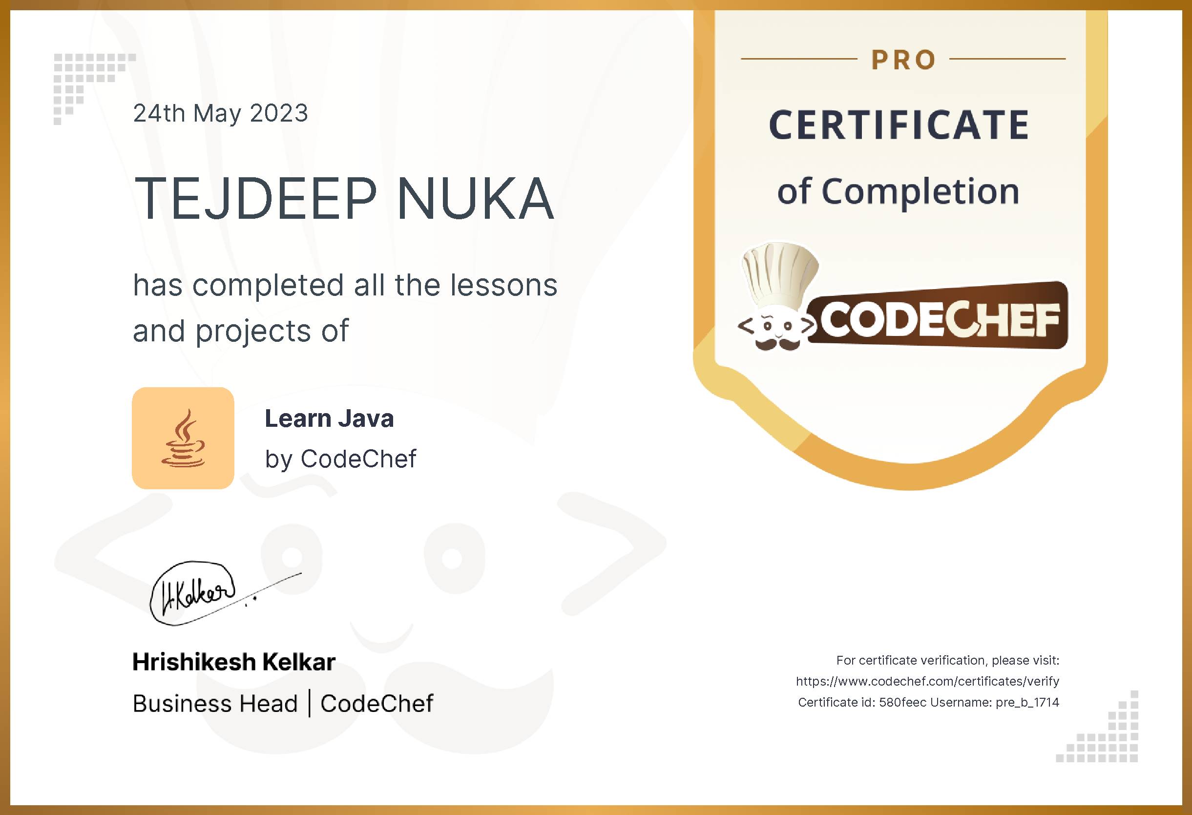 Awarded to TEJDEEP NUKA for completing <a href='/learn/course/java-old'>Learn Java - Pro</a>