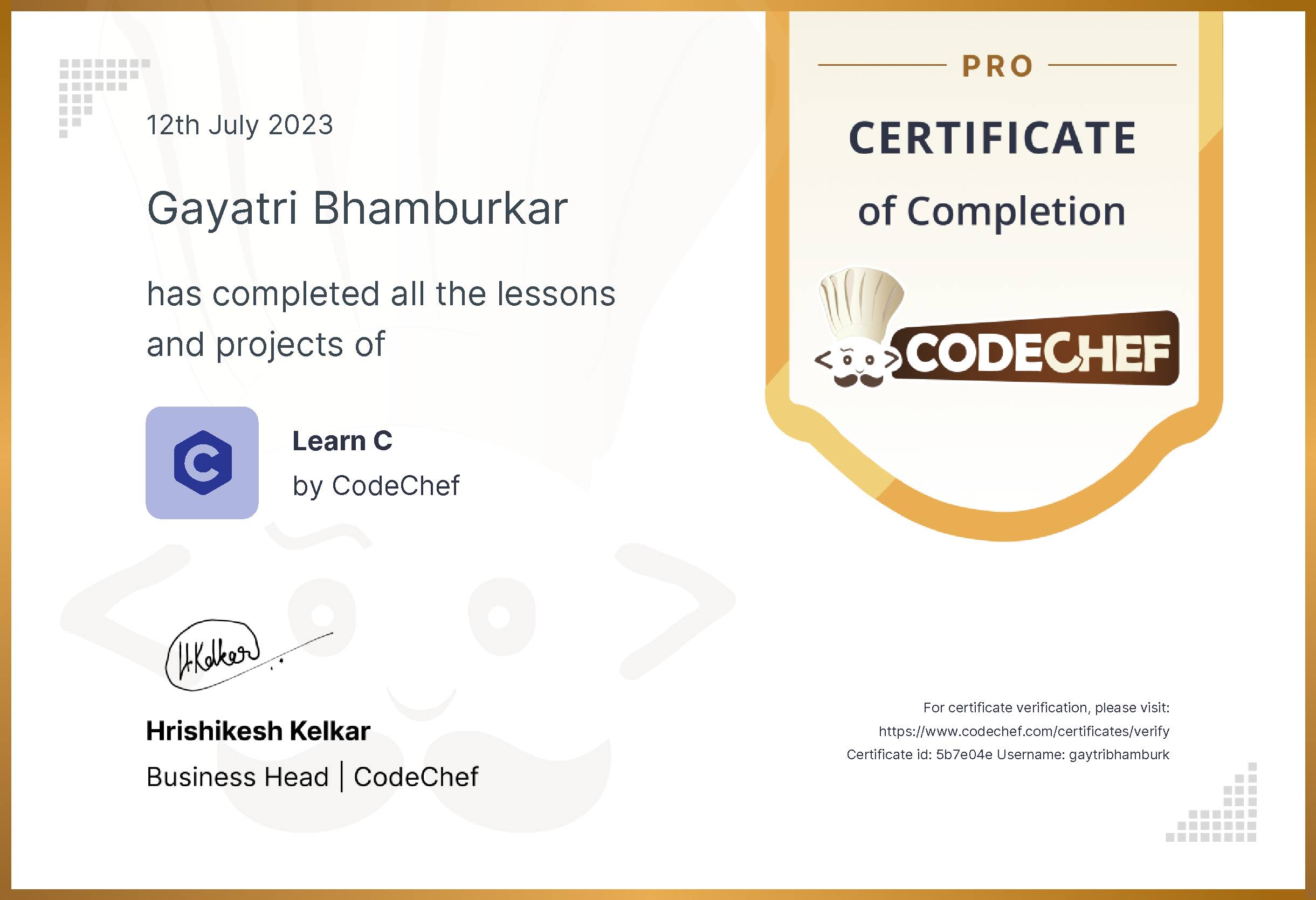 Awarded to Gayatri Bhamburkar for completing <a href='/learn/course/c-old-old'>Learn C - Pro</a>