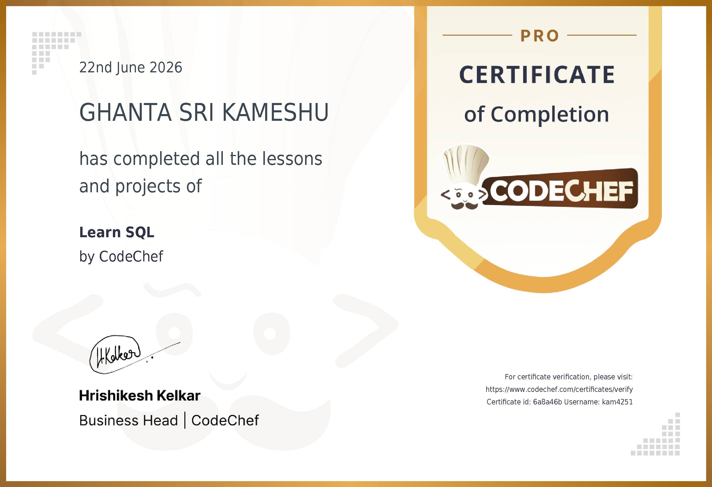 Awarded to GHANTA SRI KAMESHU for completing <a href='/learn/course/sql'>Learn SQL</a>