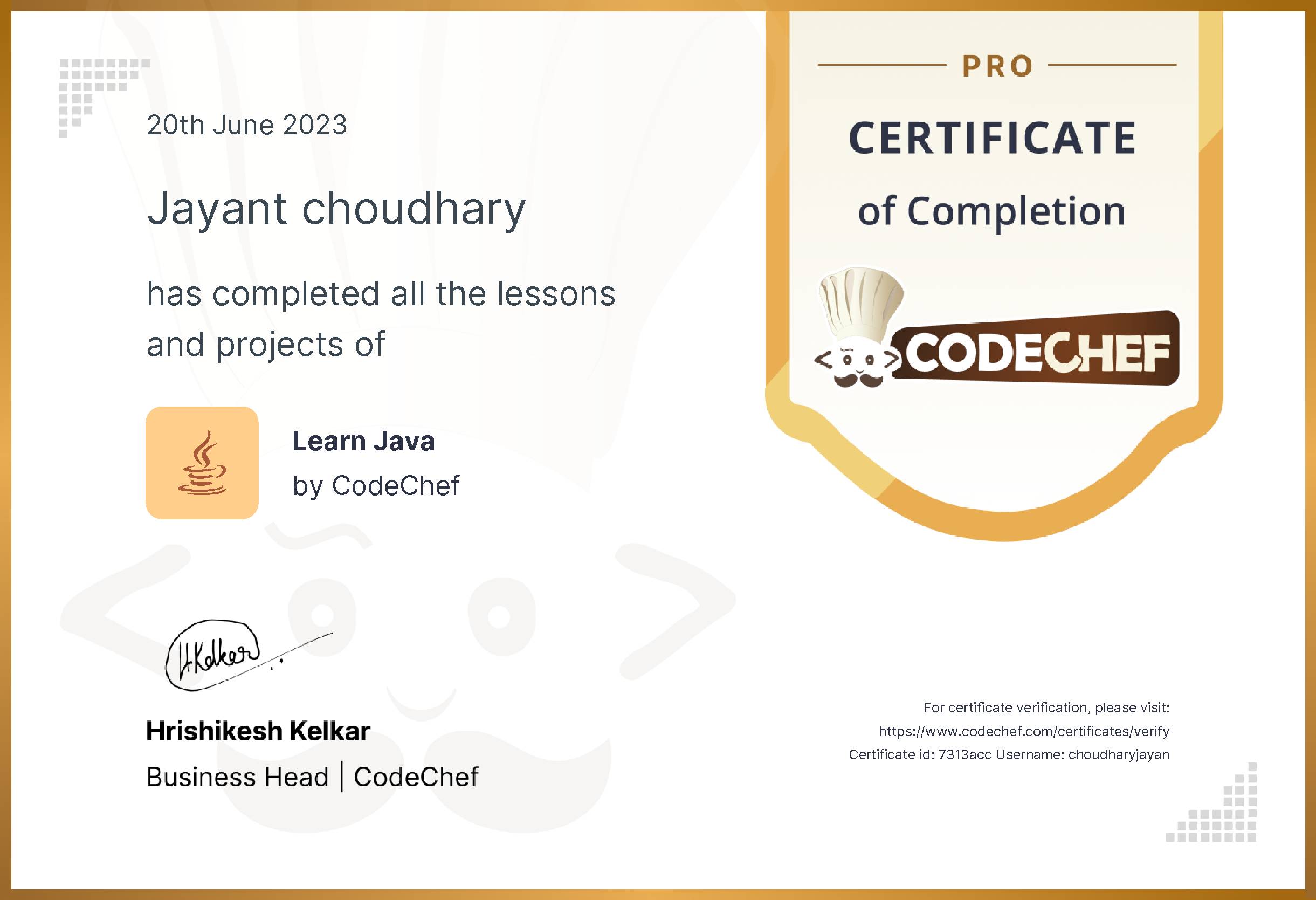 Awarded to Jayant choudhary for completing <a href='/learn/course/java-old'>Learn Java - Pro</a>