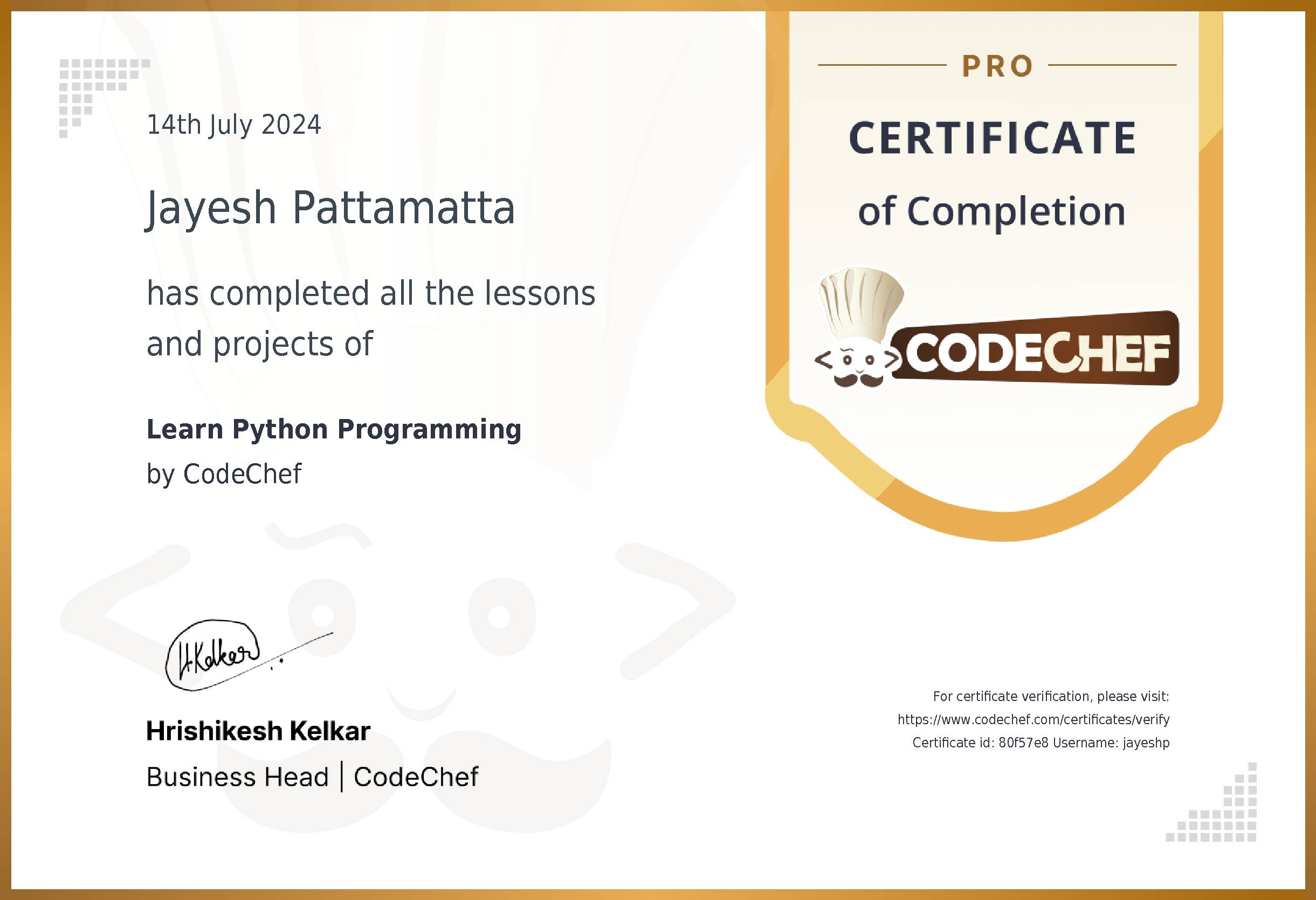 Awarded to Jayesh Pattamatta for completing <a href='/learn/course/python'>Learn Python</a>
