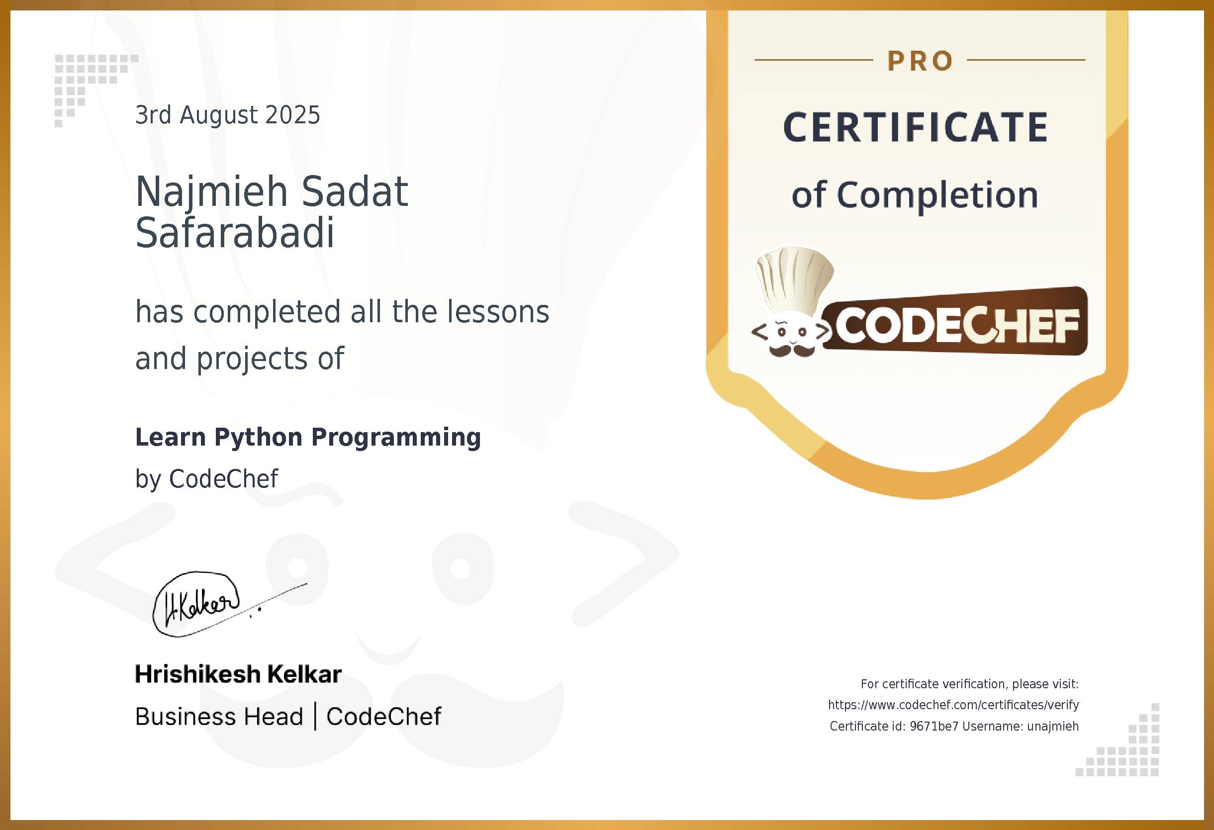 Awarded to Najmieh Sadat Safarabadi for completing <a href='/learn/course/python'>Learn Python Programming</a>