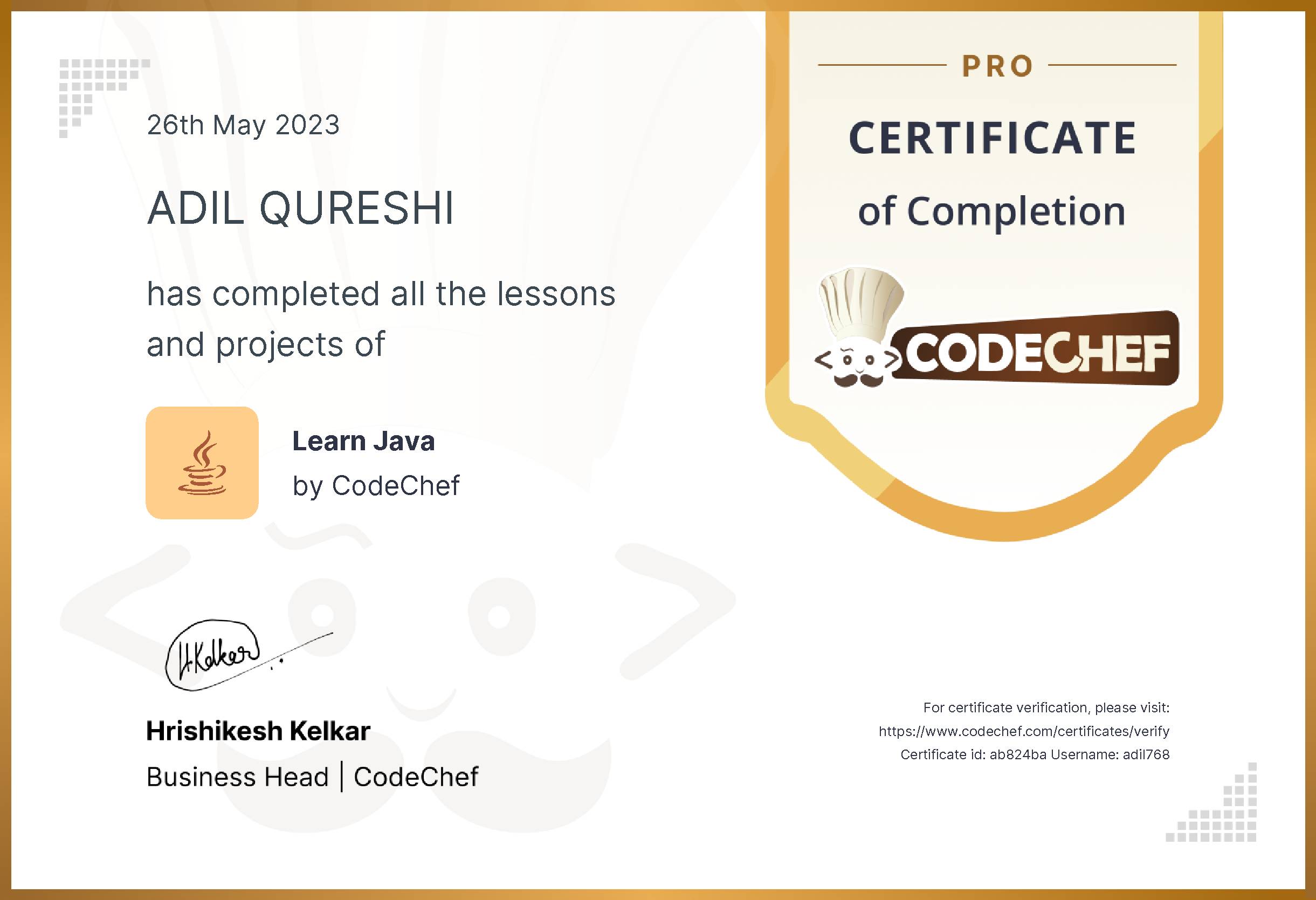 Awarded to ADIL QURESHI for completing <a href='/learn/course/java-old'>Learn Java - Pro</a>