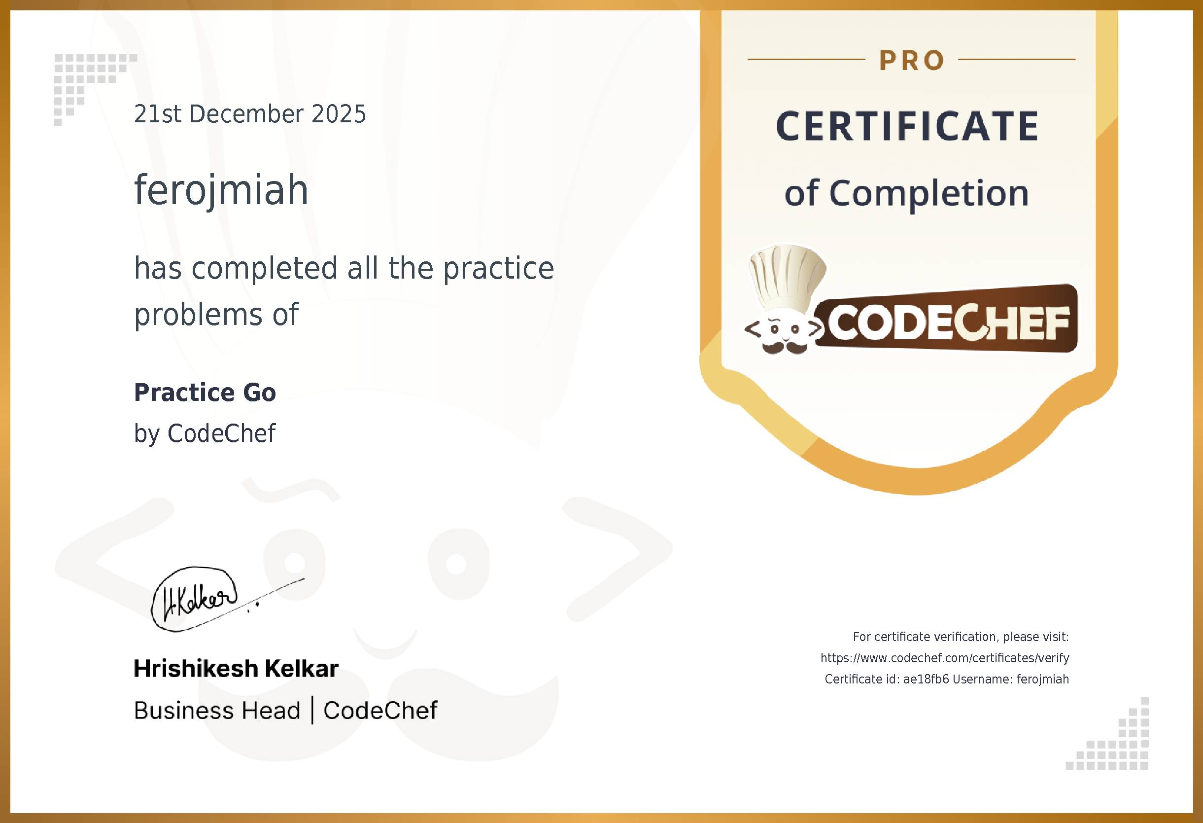 Awarded to ferojmiah for completing <a href='/practice/go'>Practice Go</a>