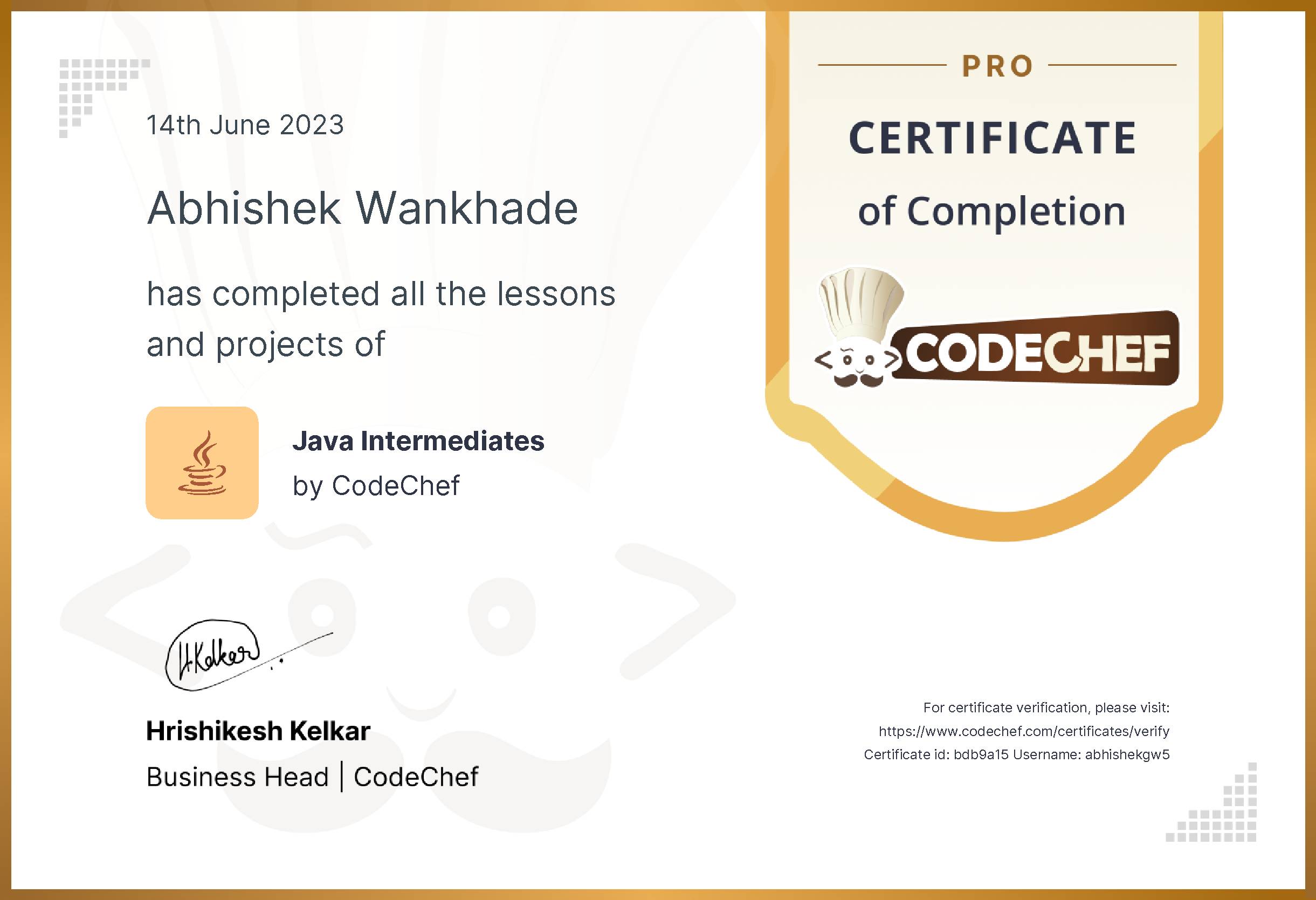 Awarded to Abhishek Wankhade for completing <a href='/learn/course/java-beginner'>Java Intermediates - Pro</a>
