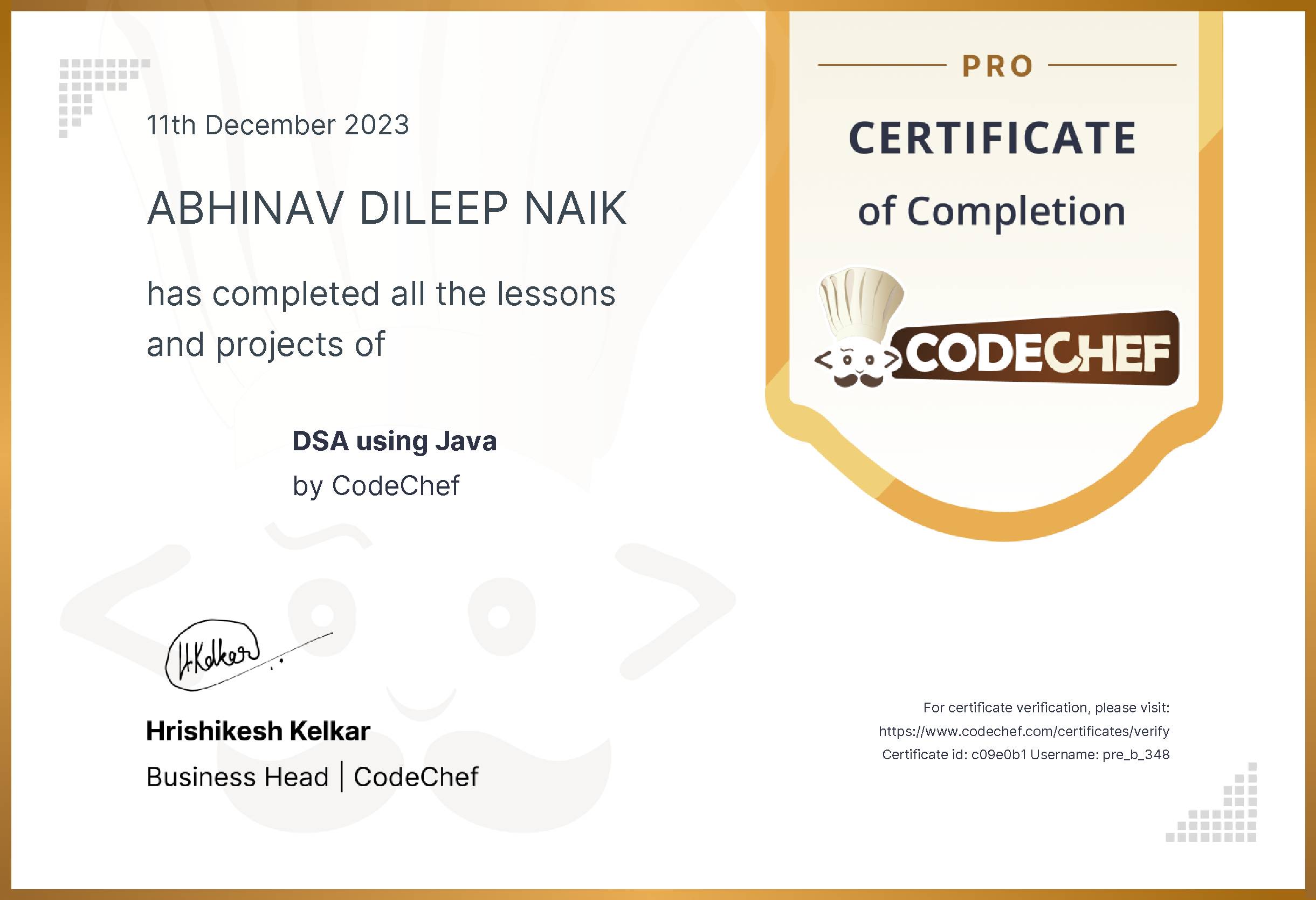 Awarded to ABHINAV DILEEP NAIK for completing <a href='/learn/course/pdsaj'>DSA using Java</a>