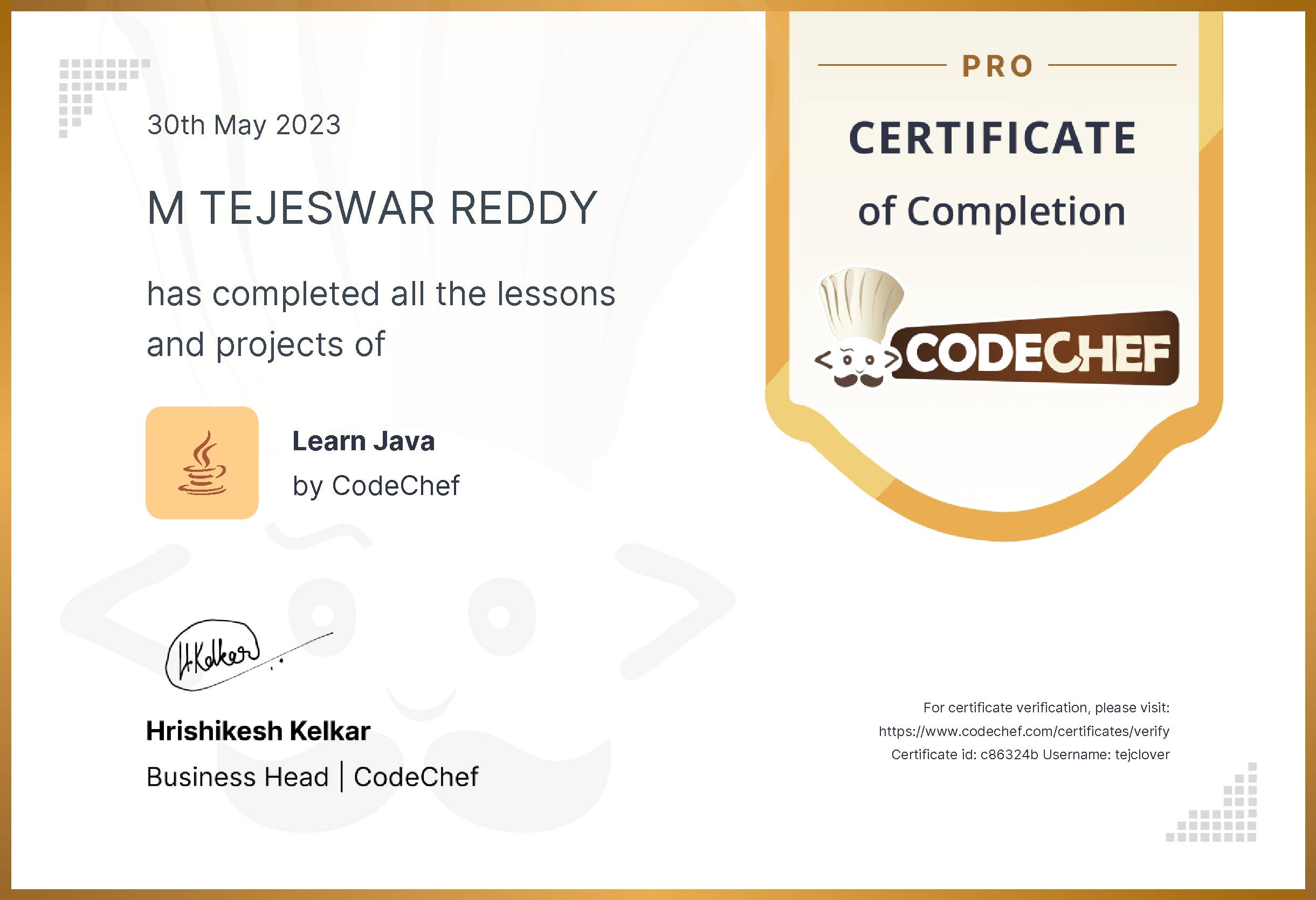 Awarded to M TEJESWAR REDDY for completing <a href='/learn/course/java-old'>Learn Java - Pro</a>