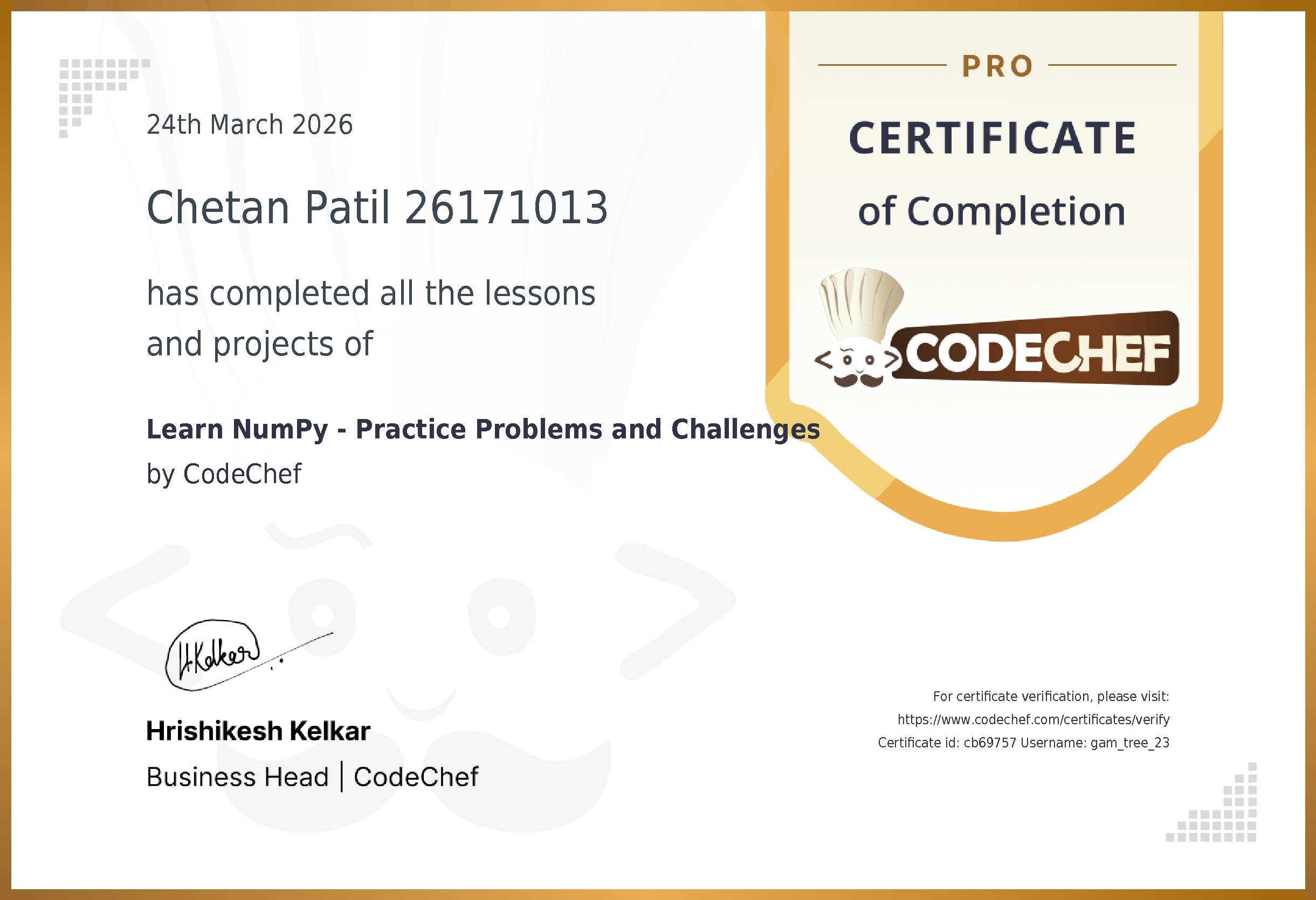 Awarded to Chetan Patil 26171013 for completing <a href='/learn/course/numpy'>Learn NumPy - Practice Problems and Challenges</a>