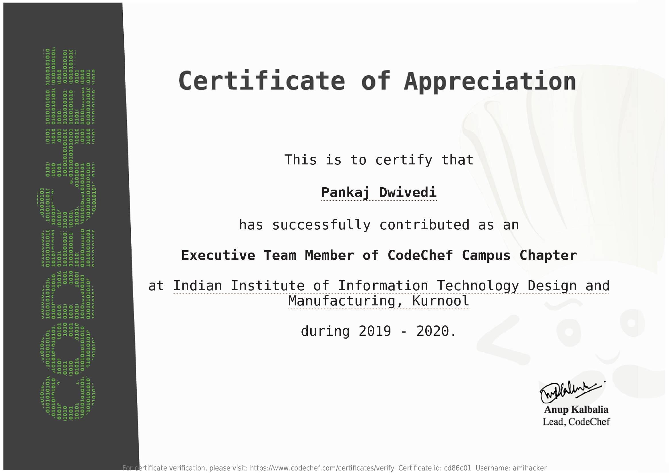 Awarded to Pankaj Dwivedi