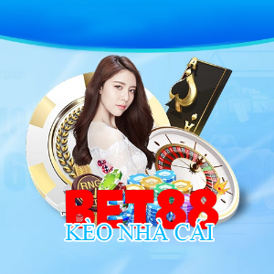 user profile