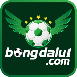 user profile