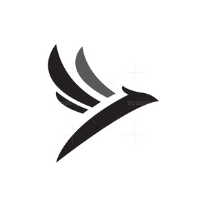 user profile