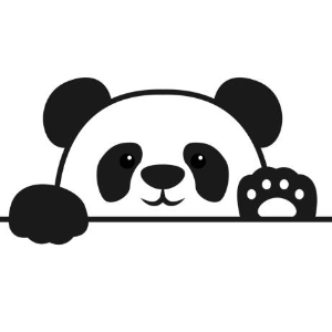 user profile
