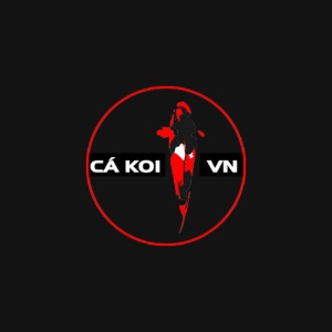 user profile