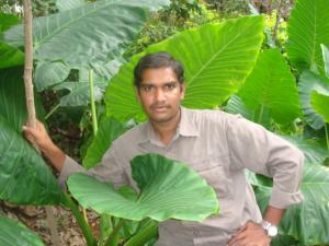 user profile