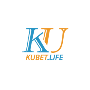 user profile