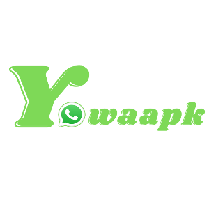 user profile