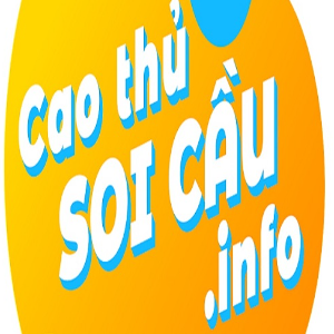 user profile