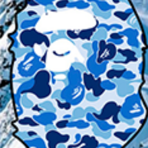User Profile
