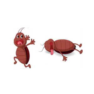 CodeChef profile picture for @bedbug