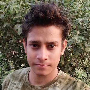 user profile