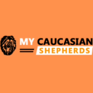 CodeChef profile picture for @caucasian