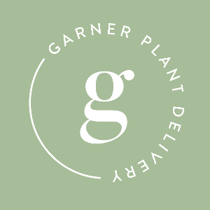 CodeChef profile picture for @garner