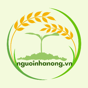 user profile