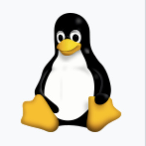 user profile